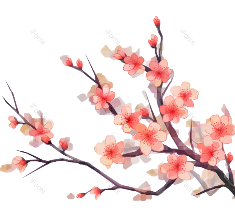 粉红色的花图片,白色背景元素,樱花PNG,灰色背景免抠素材